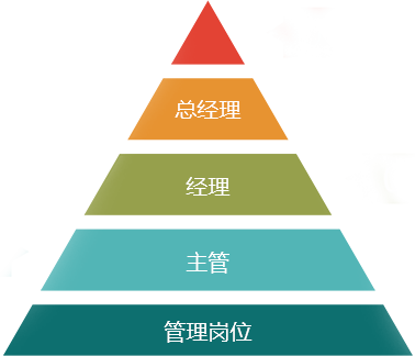 宏鸿管理岗晋升路线